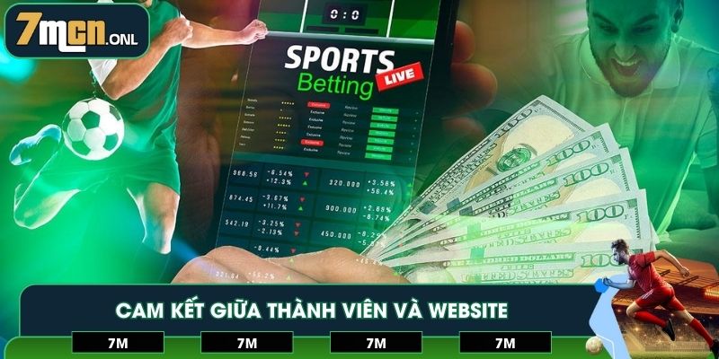 Cam kết giữa thành viên và website trong điều khoản