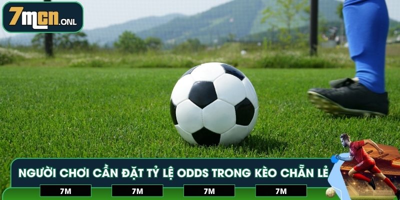 Người chơi cần đặt tỷ lệ odds trong kèo chẵn lẻ hợp lý